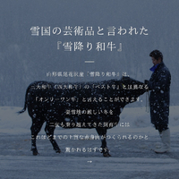 画像440