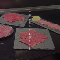 画像512