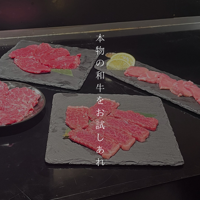 画像512
