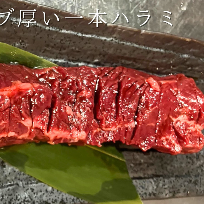 画像527